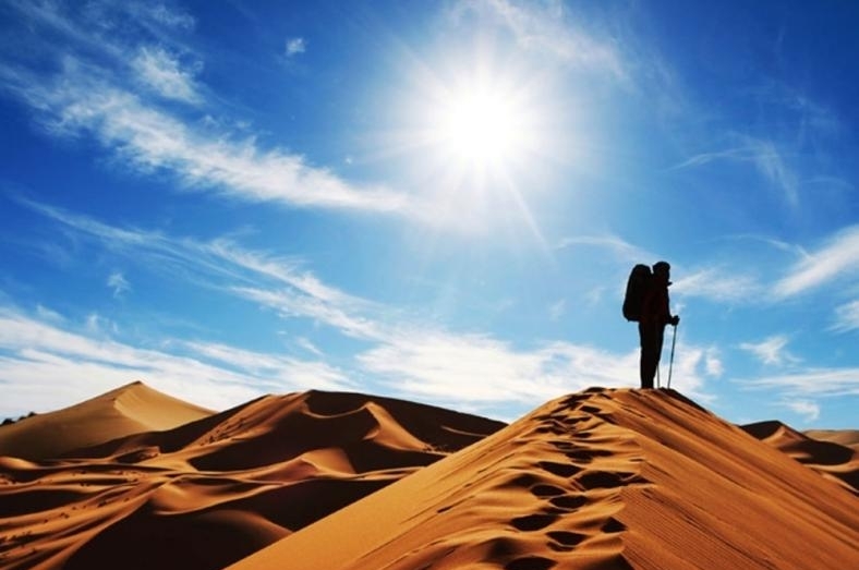 图片2.jpg 图片2.jpg